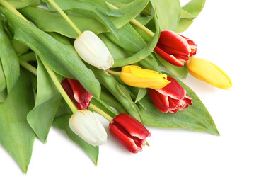 Similar image 1306986