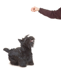 Similar image 1306988