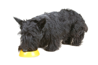 Similar image 1306989