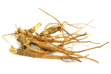 Similar image 1306992