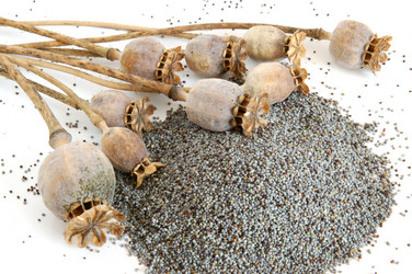 Similar image 1307023