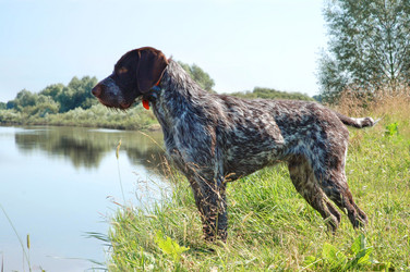 Similar image 1307061