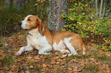 Similar image 1307062