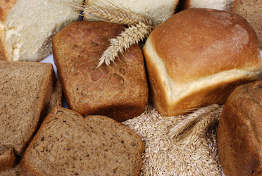 Similar image 1307068