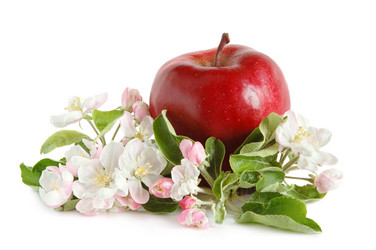 Similar image 1307079