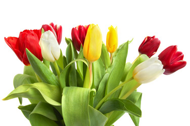 Similar image 1307088