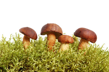 Similar image 1307090