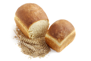 Similar image 1307092