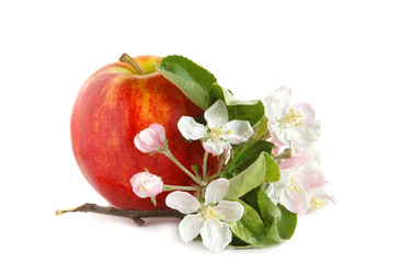 Similar image 1307095