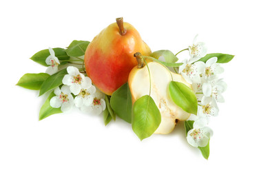 Similar image 1307101