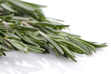 Similar image 1307127