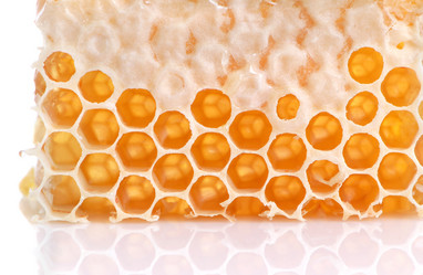 Similar image 1307136