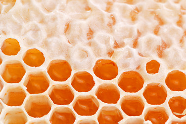 Similar image 1307137