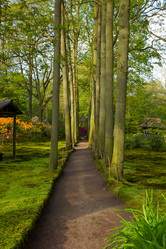 Similar image 1307148