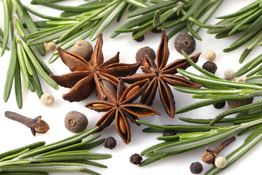 Similar image 1307154