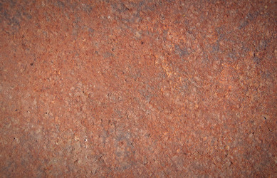 Similar image 1307282