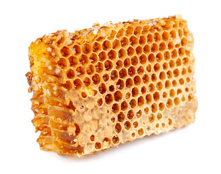 Similar image 1307294