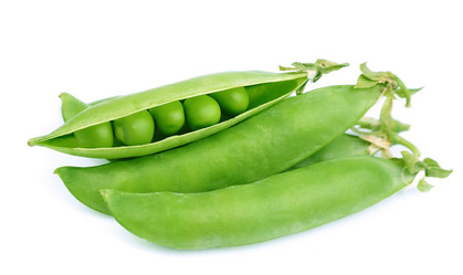 Similar image 1307299