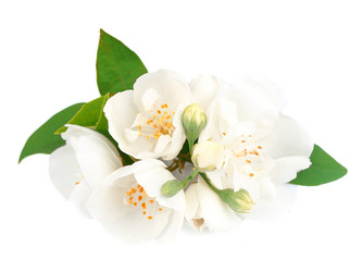 Similar image 1307301