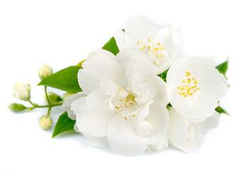 Similar image 1307337