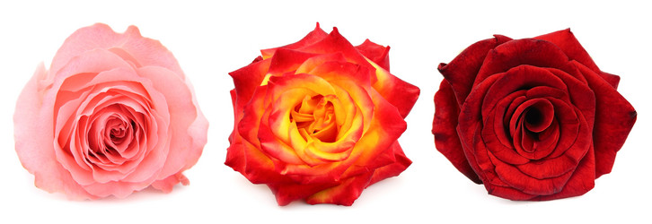 Similar image 1307340