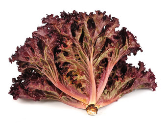 Similar image 1307343