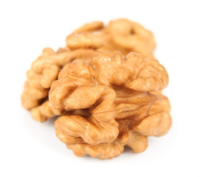 Similar image 1307344