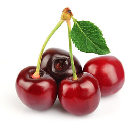 Similar image 1307346