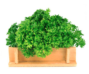 Similar image 1307348