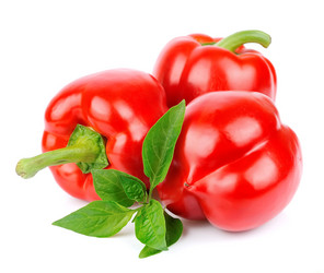 Similar image 1307349