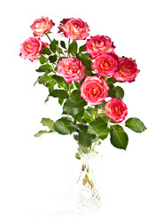 Similar image 1307361