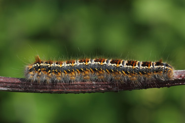 Similar image 1307364