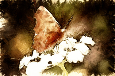 Similar image 1307365