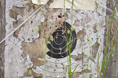 Similar image 1307421