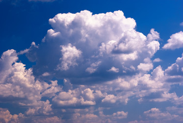 Similar image 1307442