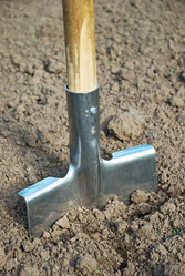 Similar image 1307519