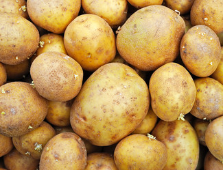 Similar image 1307536