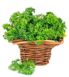 Similar image 1307594