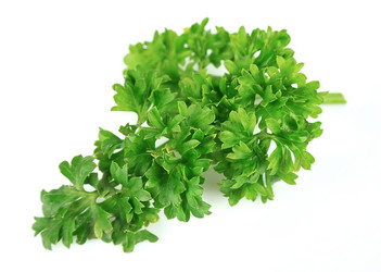 Similar image 1307601