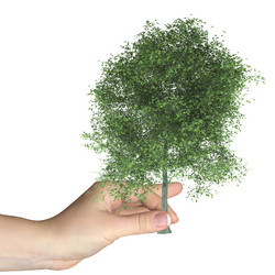 Similar image 1307611