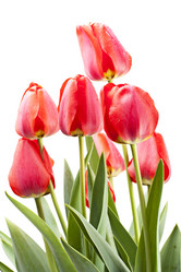 Similar image 1307704