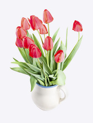 Similar image 1307711