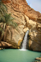 Similar image 1307714