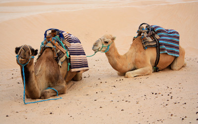 Similar image 1307718