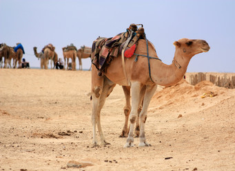 Similar image 1307719