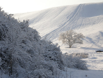 Similar image 1307727