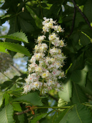 Similar image 1307729