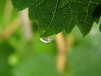 Similar image 1307737