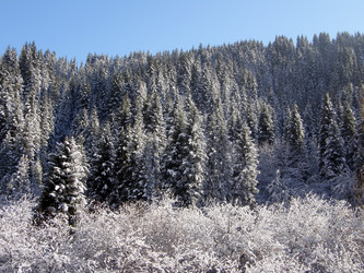 Similar image 1307740