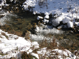 Similar image 1307741